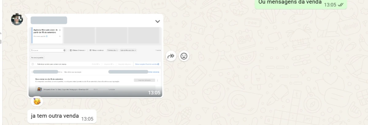 Conversa de WhatsApp com o lojista avisando que entrou mais um pedido no Mercado Livre